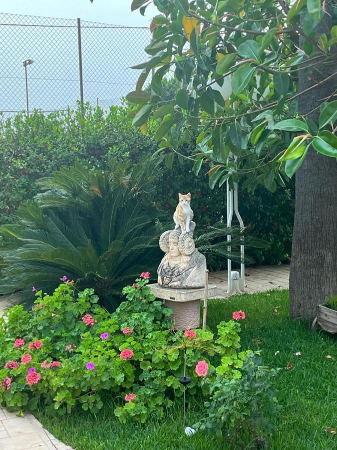 Romantico Wellness Casa Veronica Elche Bagian luar foto
