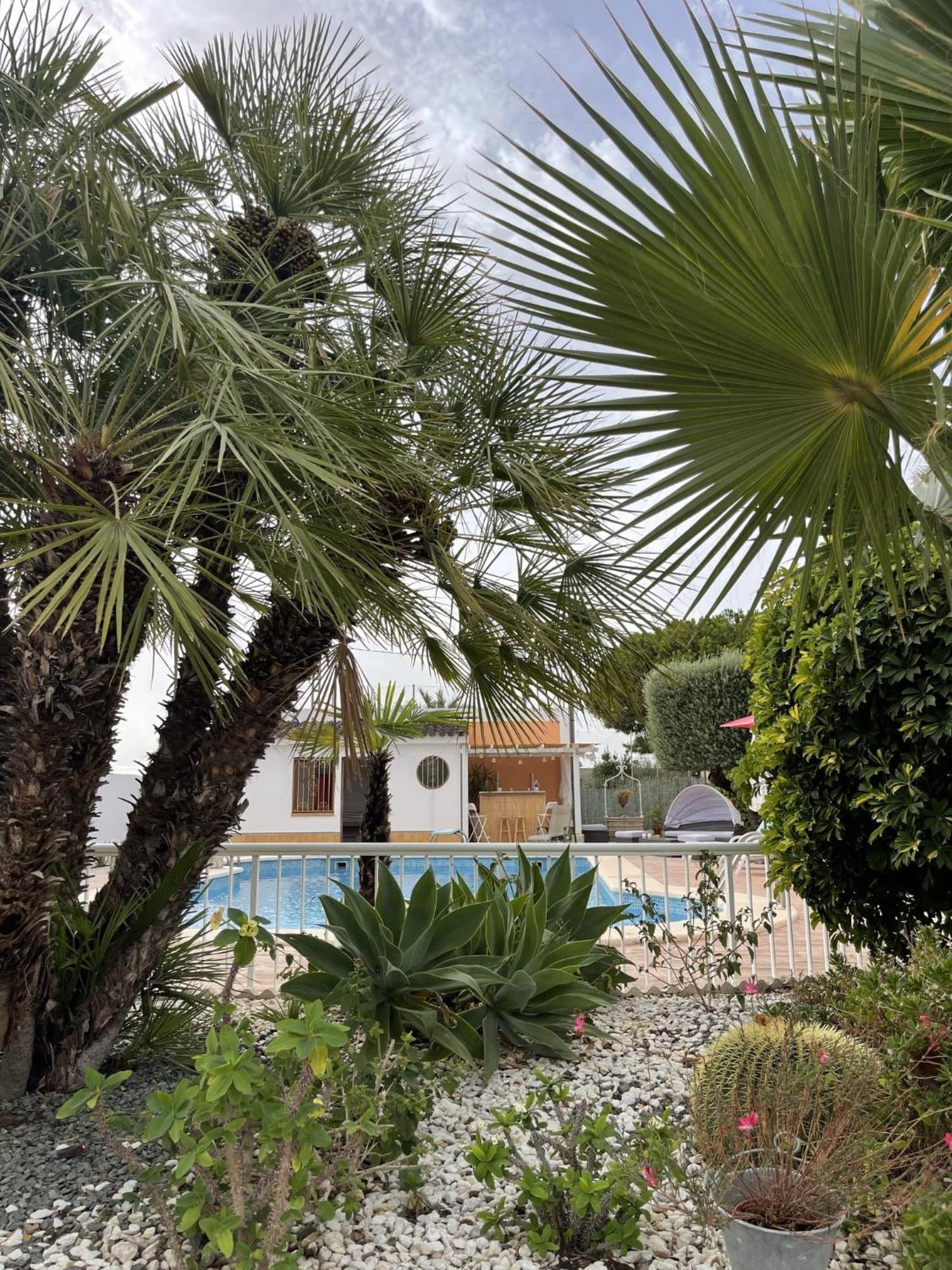 Romantico Wellness Casa Veronica Elche Bagian luar foto